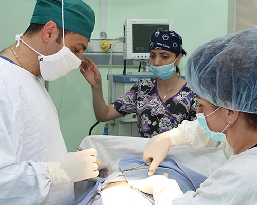 Բժշկի ճանապարհը` ընտանեկան ավանդույթ